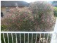00 Bridgend, Wollstonecraft NSW 2065