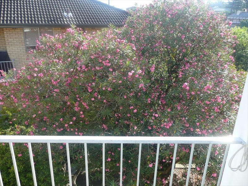 00 Bridgend, Wollstonecraft NSW 2065