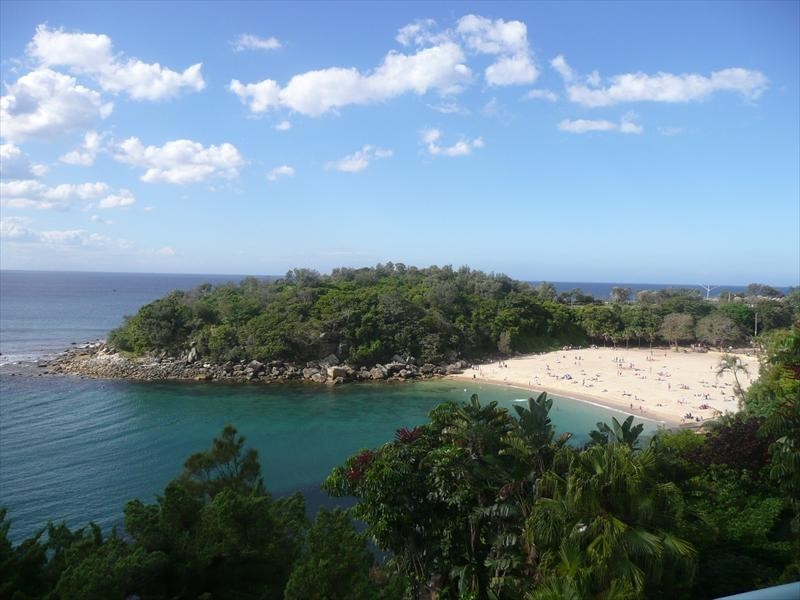 56 Bower Street, Manly NSW 2095