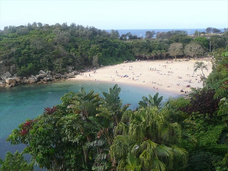 56 Bower Street, Manly NSW 2095