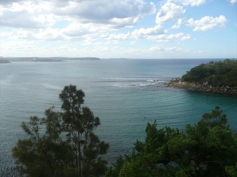 56 Bower Street, Manly NSW 2095