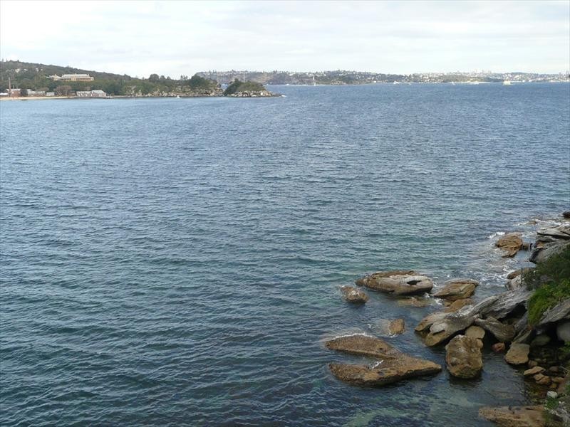 6 Addison Road, Manly NSW 2095