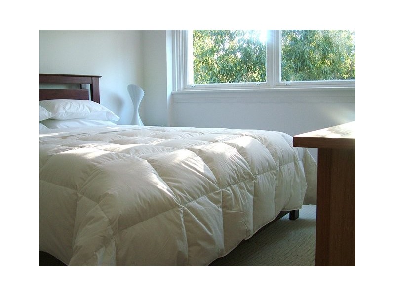 00 Birriga Road, Bellevue Hill NSW 2023