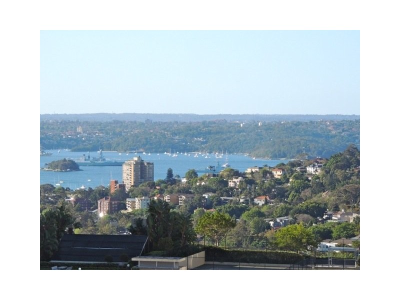 00 Ebley Street, Bondi Junction NSW 2022