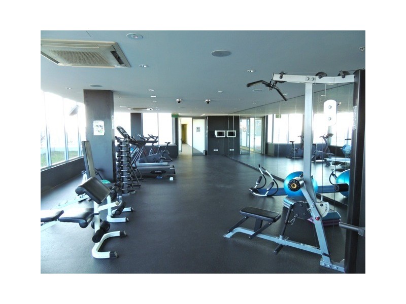 00 Ebley Street, Bondi Junction NSW 2022