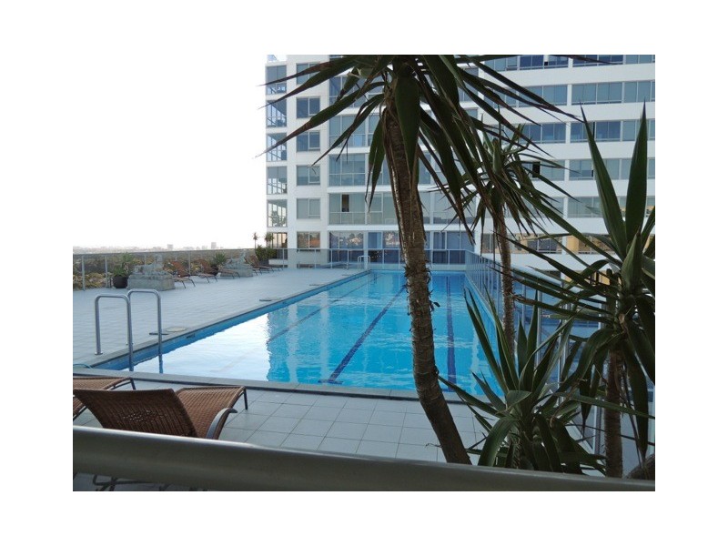 00 Ebley Street, Bondi Junction NSW 2022