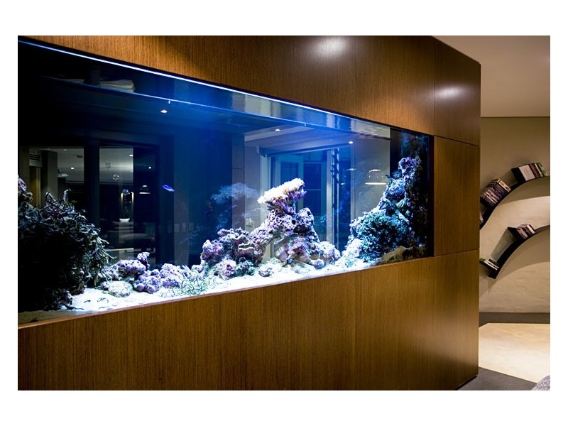 00 Beaconsfield Road, Mosman NSW 2088