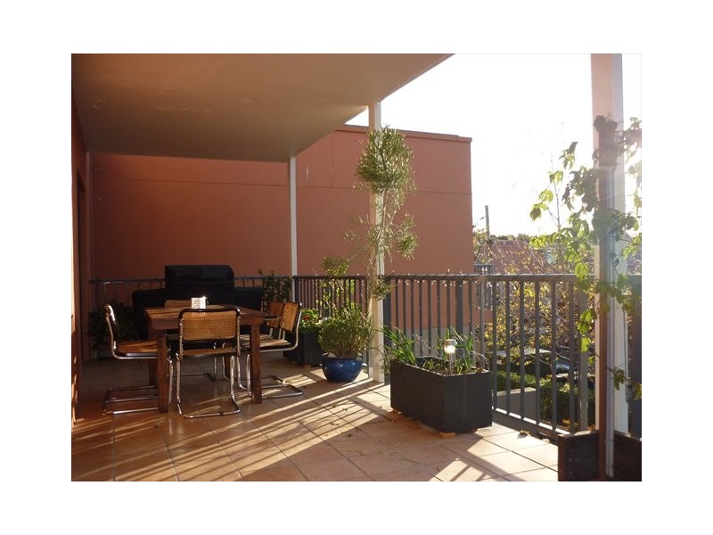 Fitzgerald Street, Newtown NSW 2042