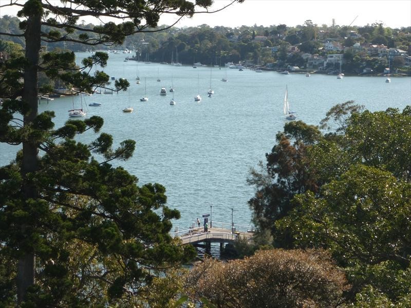 00 Carlotta St, Greenwich NSW 2065