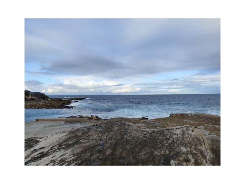 00/336 Clovelly Road, Clovelly NSW 2031