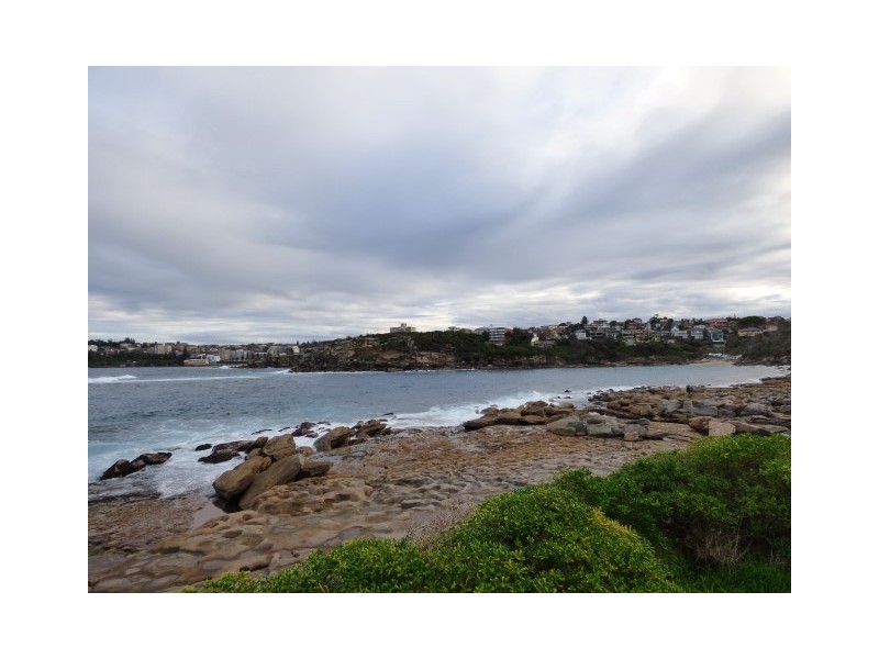 00/336 Clovelly Road, Clovelly NSW 2031