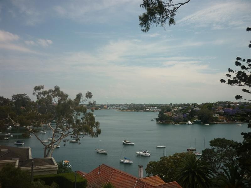 75 Carlotta St, Greenwich NSW 2065