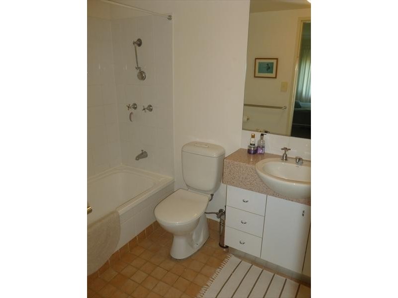 3306/177 Mitchell Road, Erskineville NSW 2043