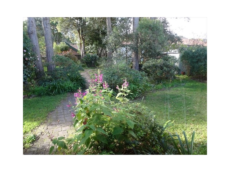 41 Kingslangley Rd, Greenwich NSW 2065