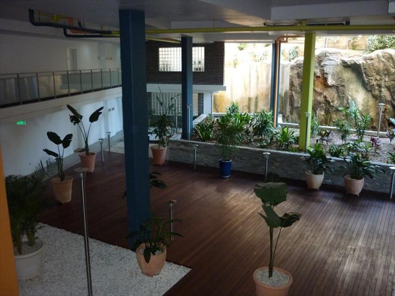 00 Lewis St, Dee Why NSW 2099
