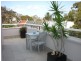 00 Young St, Paddington NSW 2021