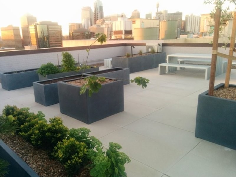 Cooper street, Surry Hills NSW 2010