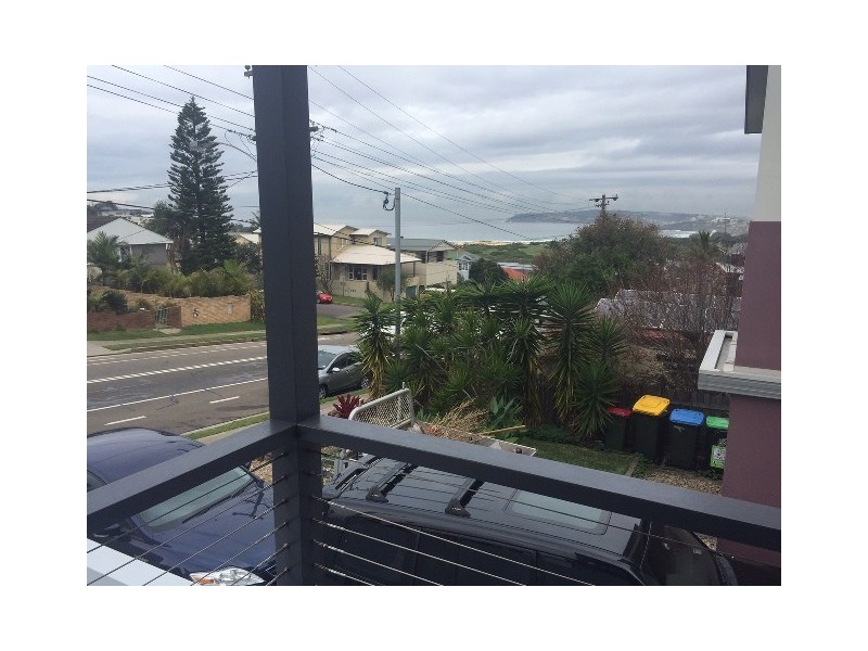 50 Griffin Road, North Curl Curl NSW 2099