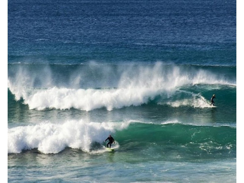 1160 Pittwater Rd, Collaroy NSW 2097