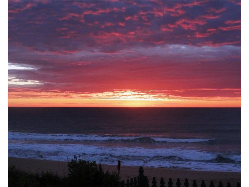 1160 Pittwater Rd, Collaroy NSW 2097