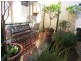 00 Pine Street, Manly NSW 2095