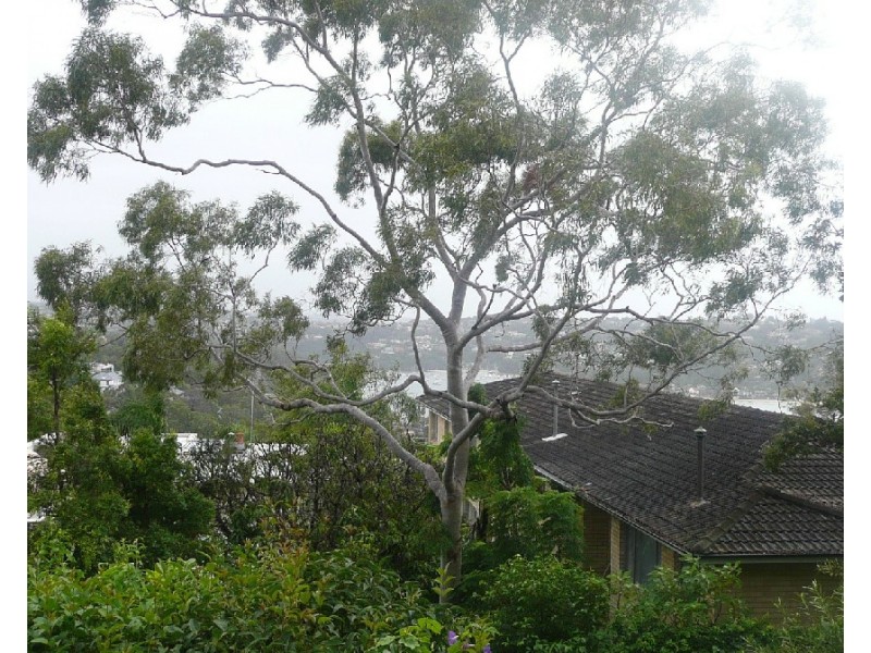 3/37 Stanton Road, Mosman NSW 2088