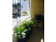 00 Bonner Avenue, Manly NSW 2095