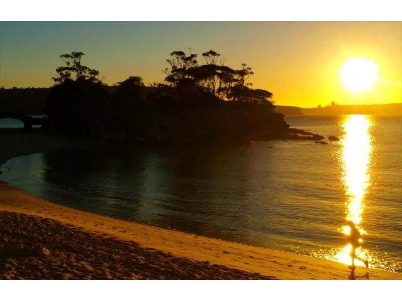 00 The Grove, Mosman NSW 2088