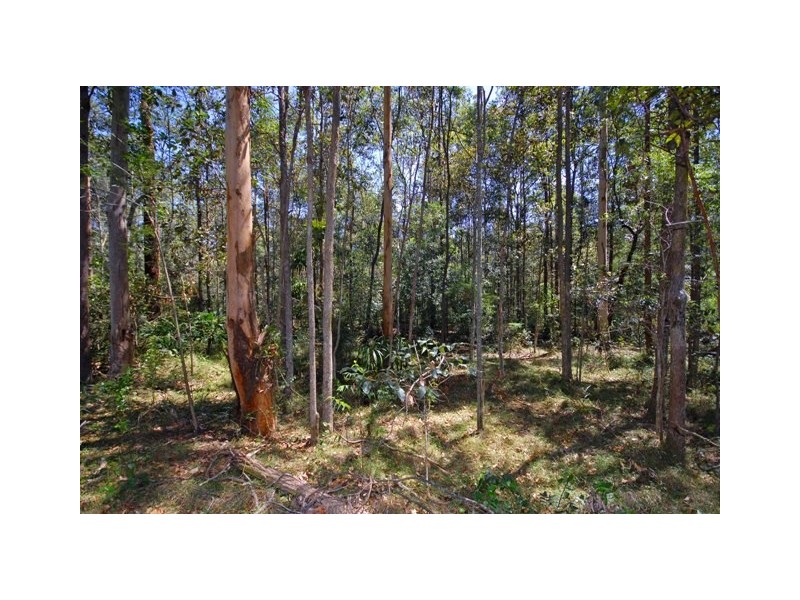 45 Cashmere Lane, Cashmere QLD 4500