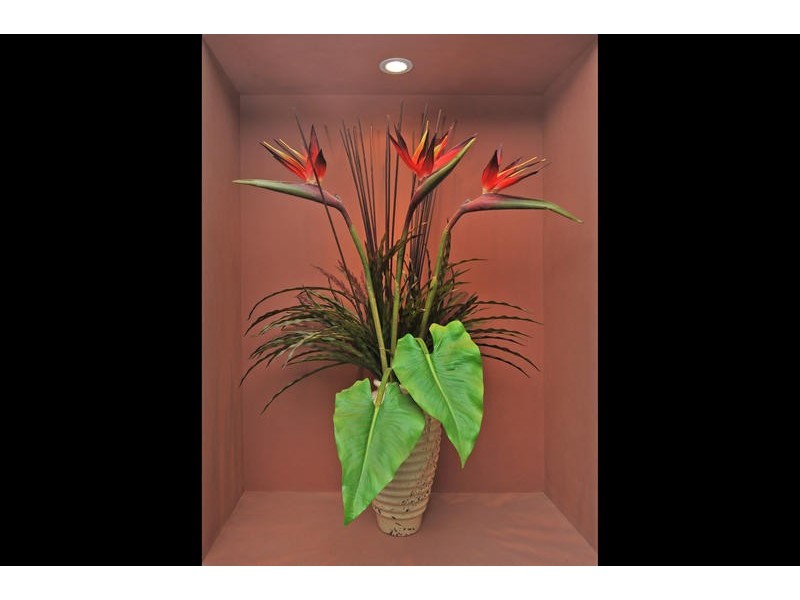 1 Lowai Court, Albany Creek QLD 4035