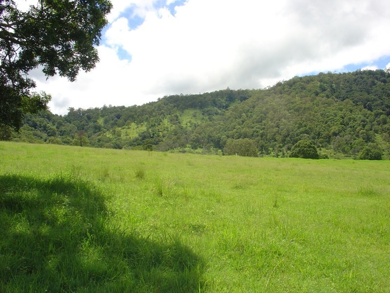 3 Winery Place, King Scrub QLD 4521