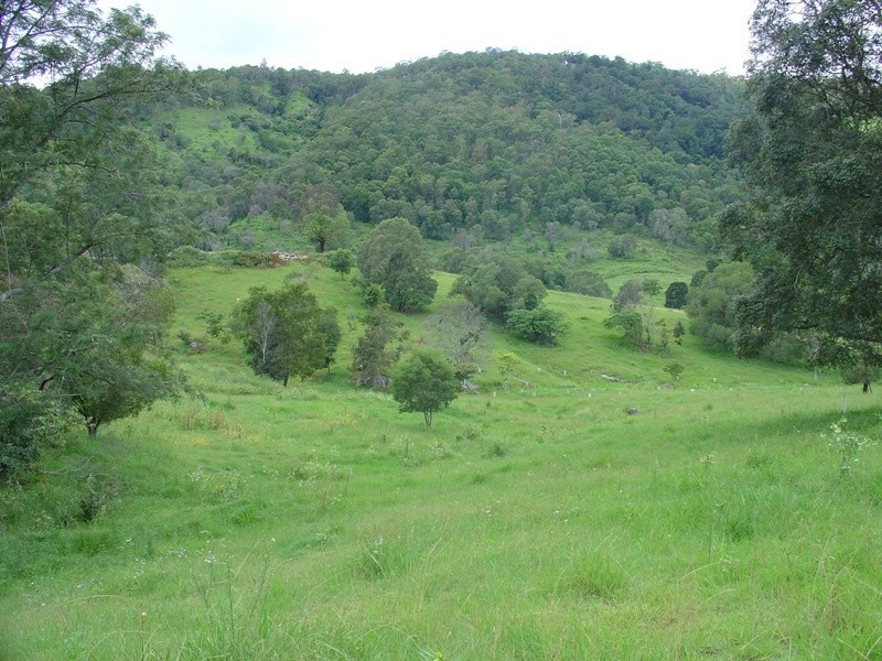 3 Winery Place, King Scrub QLD 4521