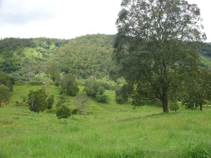 3 Winery Place, King Scrub QLD 4521