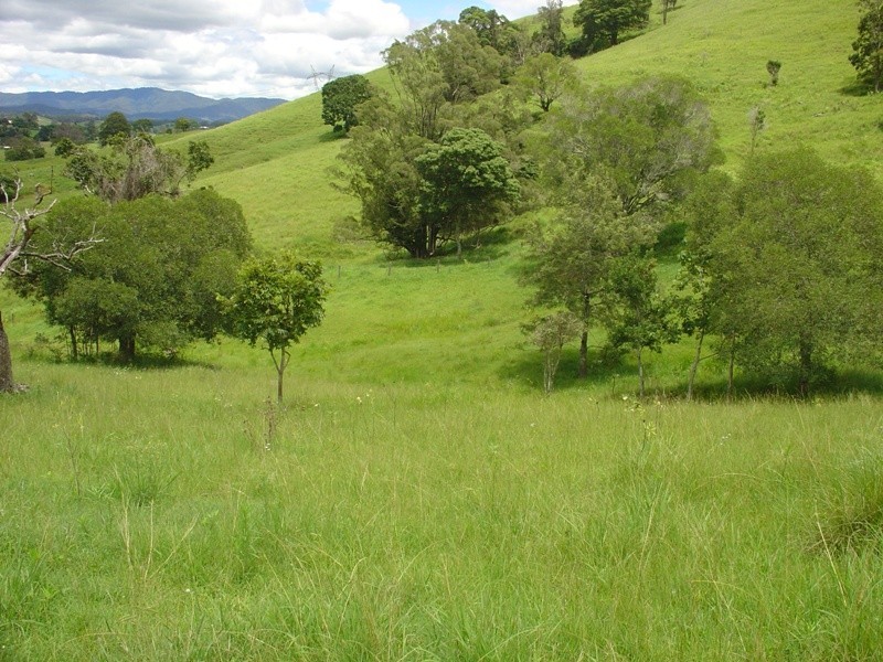 3 Winery Place, King Scrub QLD 4521