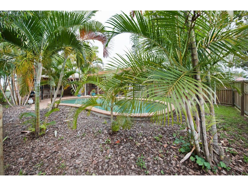 33 Chowchilla Street, Albany Creek QLD 4035