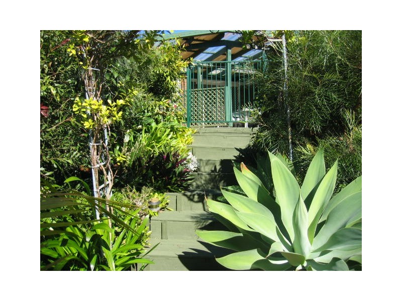 25 Carpenter Court, Worongary QLD 4213