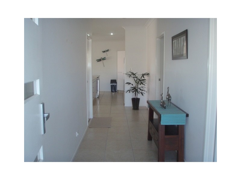 41 Zane Street, Molendinar QLD 4214