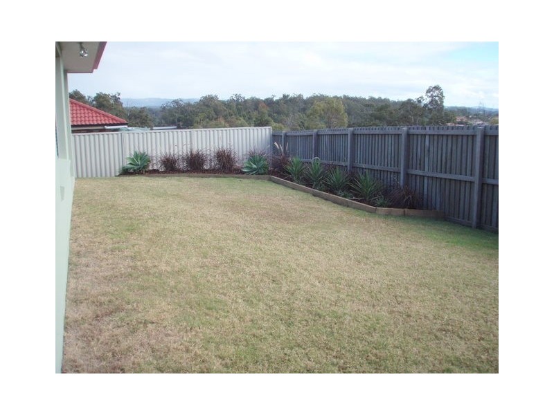 41 Zane Street, Molendinar QLD 4214