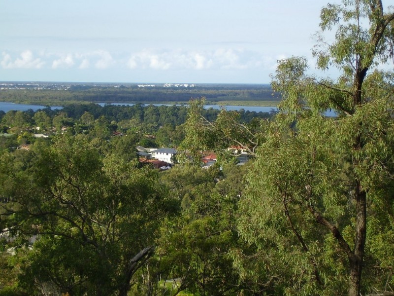 23 Highvale Drive, Helensvale QLD 4212
