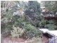 25 Cobai Drive, Mudgeeraba QLD 4213