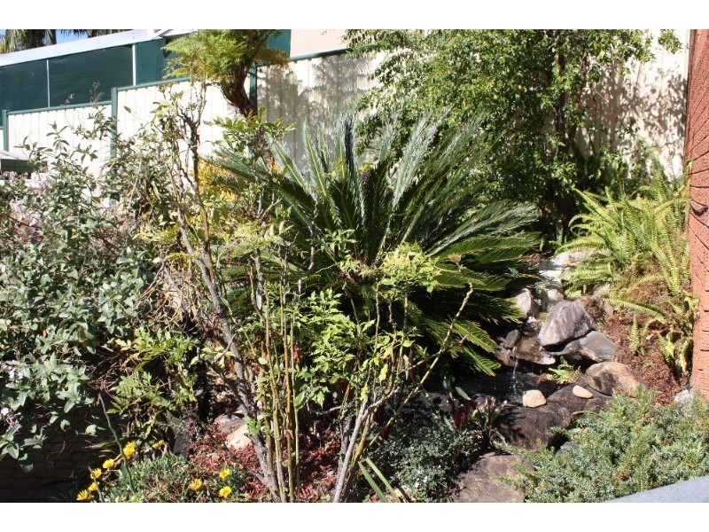 2 Alzino Place, Carrara QLD 4211