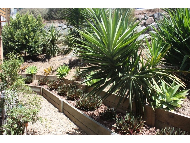 6 Gould Place, Pacific Pines QLD 4211