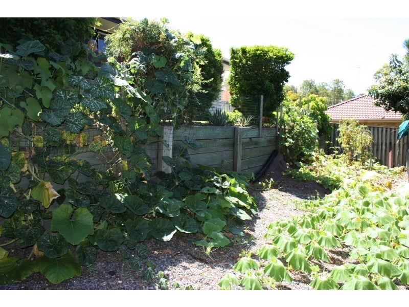 8 Duice Court, Oxenford QLD 4210