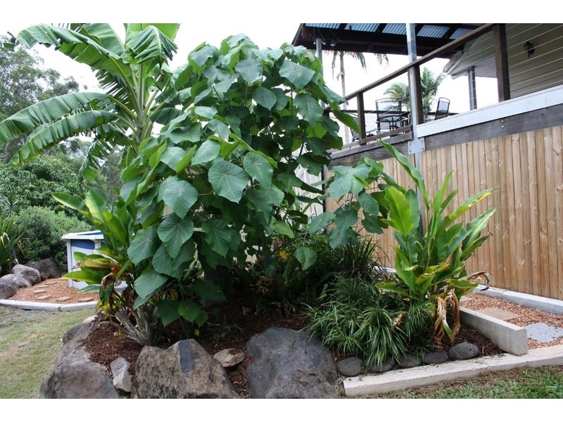 29 Orlando Court, Highland Park QLD 4211