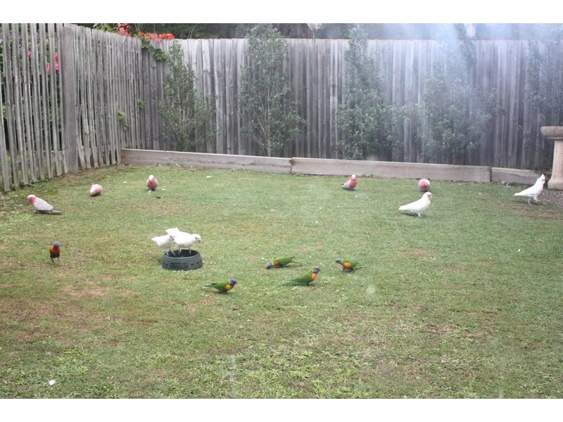 10/156 Greenacre Drive, Arundel QLD 4214