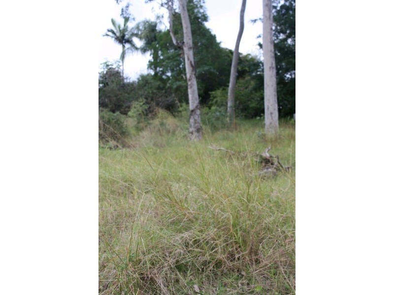 23 Ryfield Road, Carrara QLD 4211