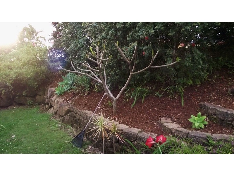 4 Nikau Crescent, Nerang QLD 4211