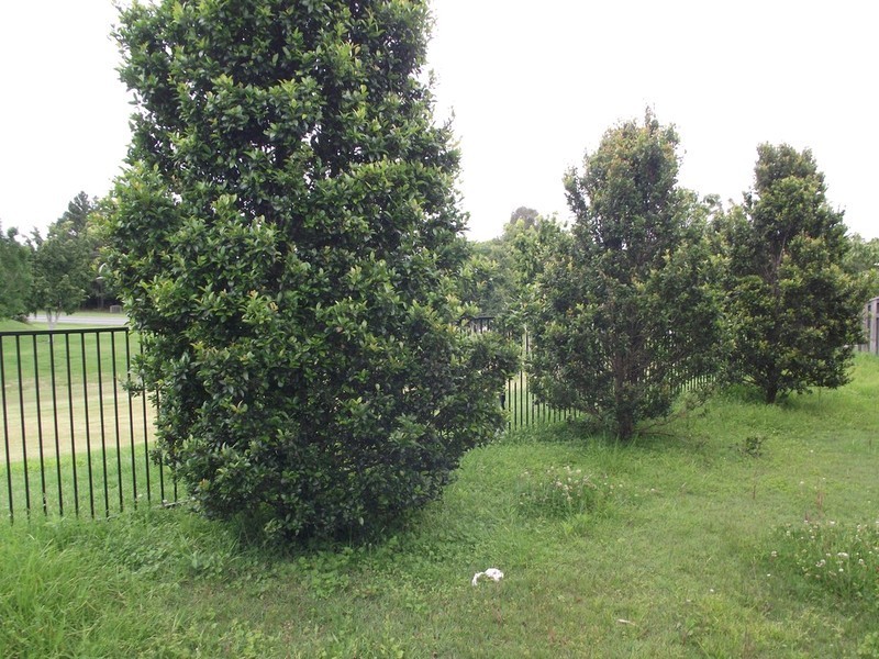 8 Thames Place, Oxenford QLD 4210