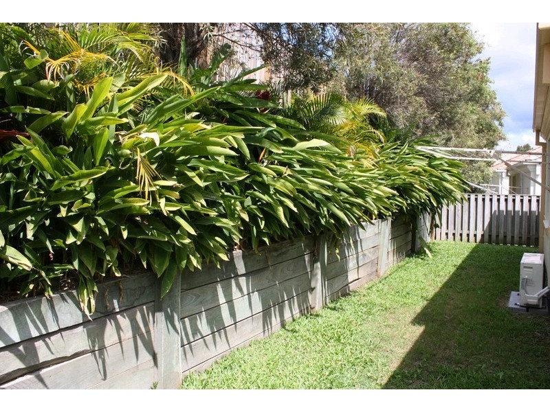 53/2-3 Langport Parade, Mudgeeraba QLD 4213