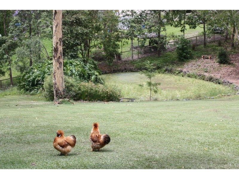 54 Tunbridge Drive, Nerang QLD 4211